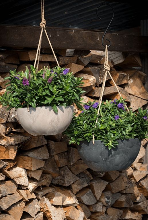 Artstone pot hangplant