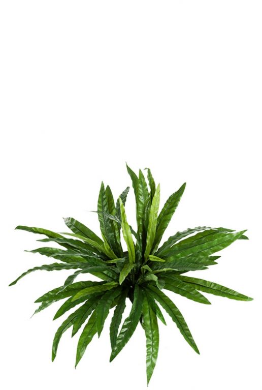 Asplenium varen kunstplant