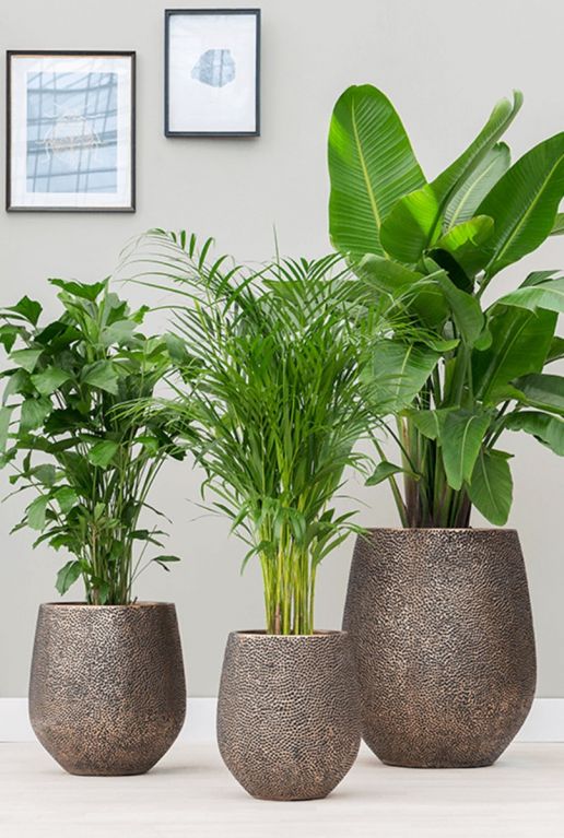 Baq luxe plantenbakken goud 1