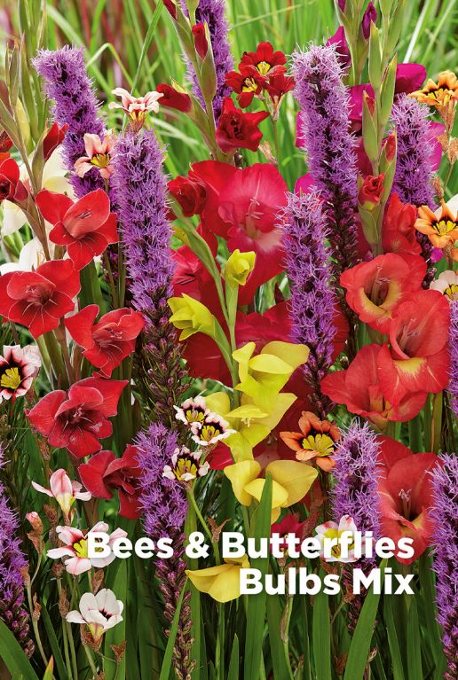 Bees butterflies bloembollen mix