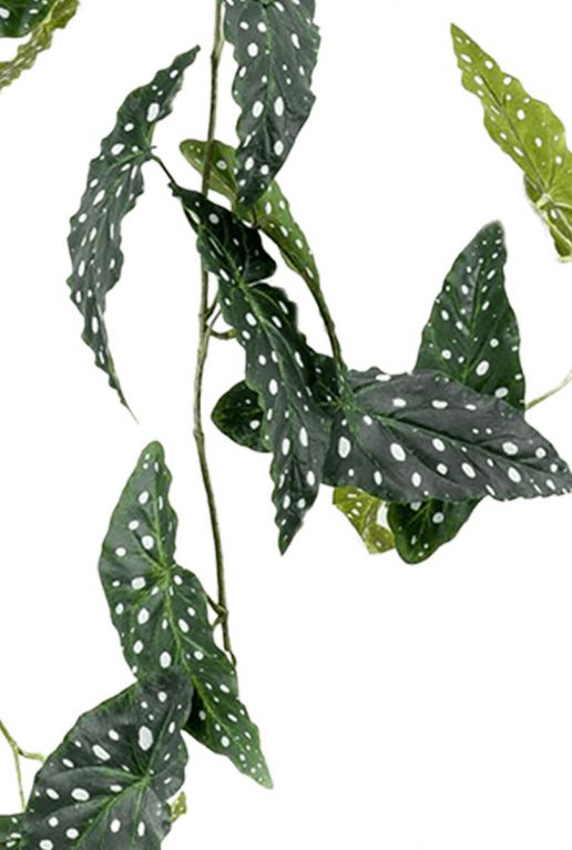 Begonia maculata kunstplant