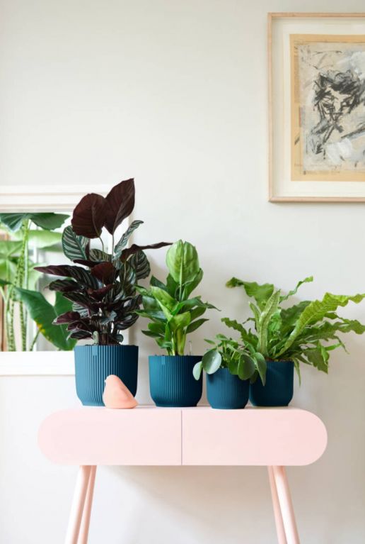 Blauwe elho planten potten 1 2