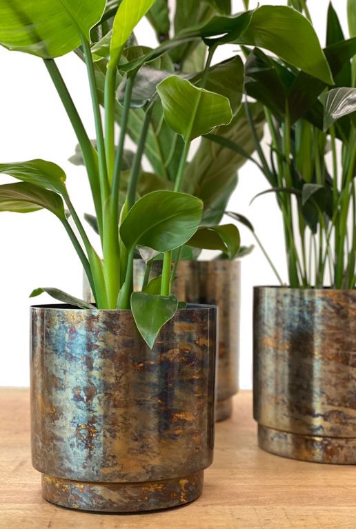 Brons koper planten pot 1
