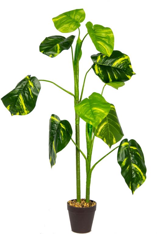 Caladium-kunstplant-2-stam