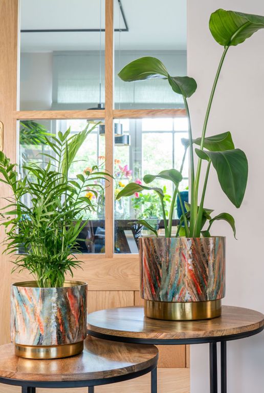 Celia pot goud roze plant 1