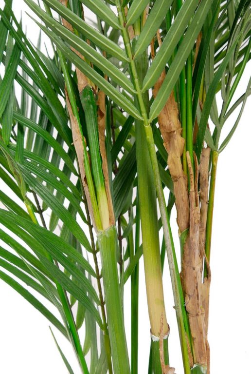Chamaedorea palm kunstplant 1
