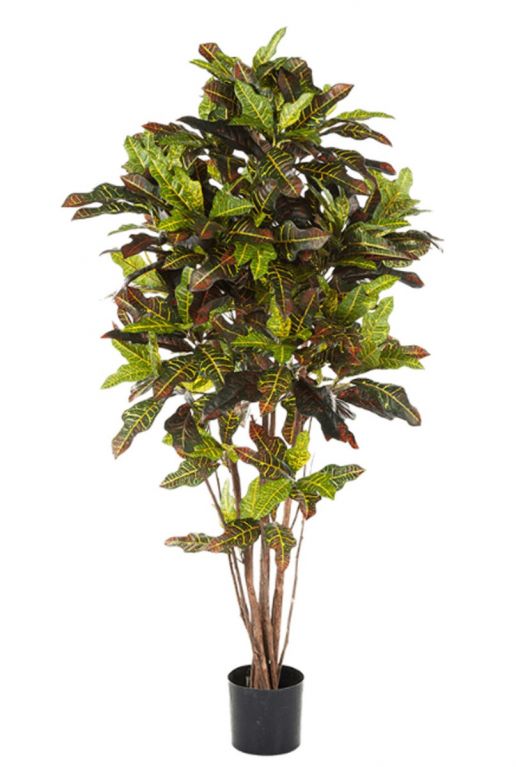 Croton exellent kunstplant kamerplant