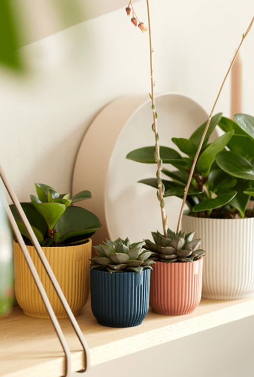 Elho vibes fold plant 3