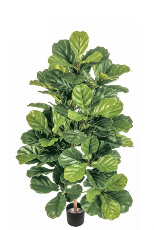 Ficus lyrata kunstplant 1