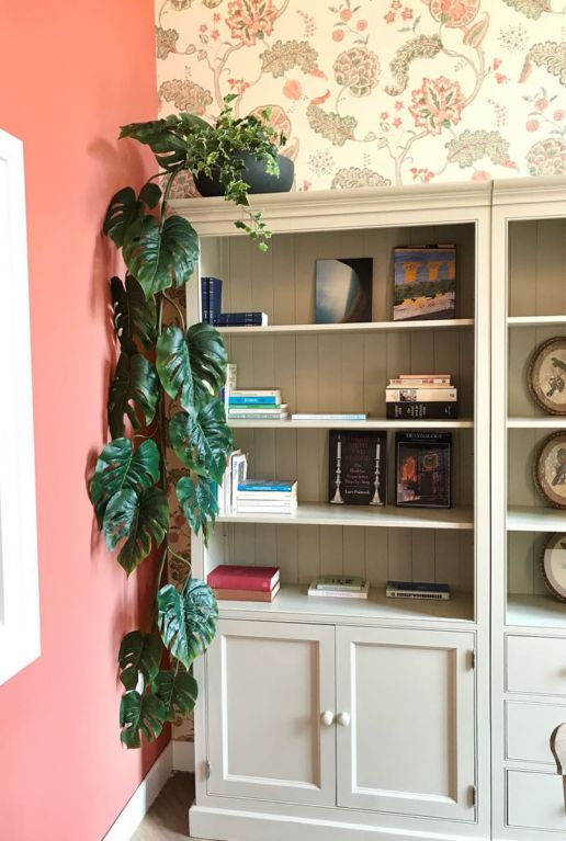 Gatenplant monstera zijdeplant