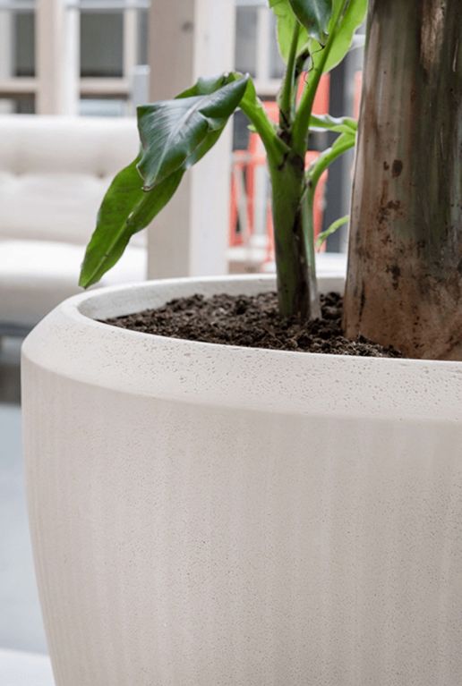 Grote beige plantenbak baq