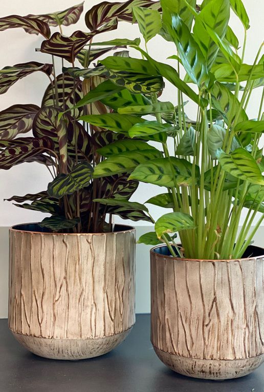 Grote taupe bloempot 1