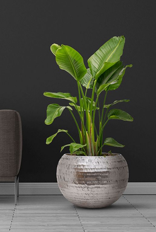 Kamerplant bloempot zilver 1