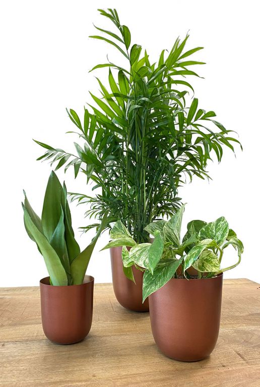Koper metalen plantenpotten 1