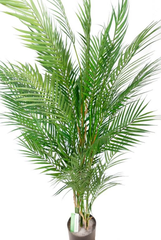 Kunstpalm kamerplant