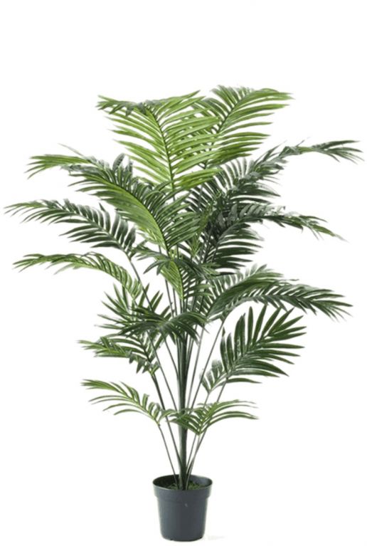 Kunstplant palm paradise