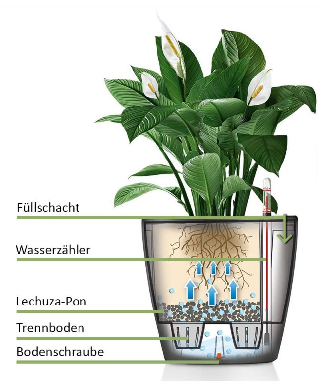 Classico set LS wit Ø28cm plantenbak kopen?- 123planten.nl