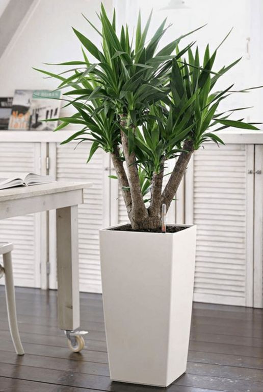 Lechuza plantenbak wit 4