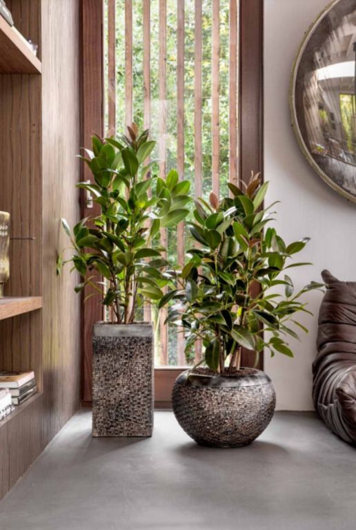 Luxe plantenbak brons 1