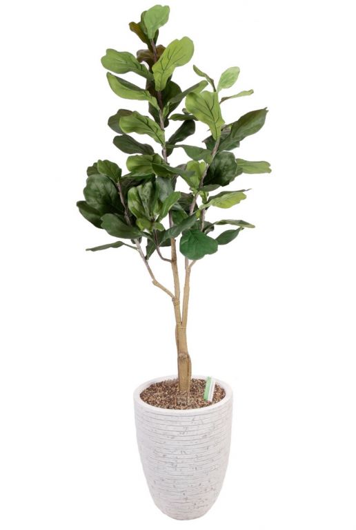 Lyrata kunstboom in hoge pot 1