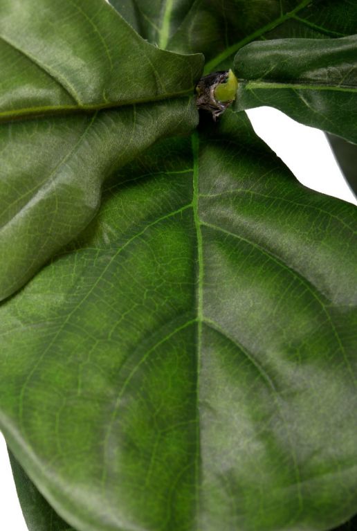 Lyrata tabaksplant kunstplant 4
