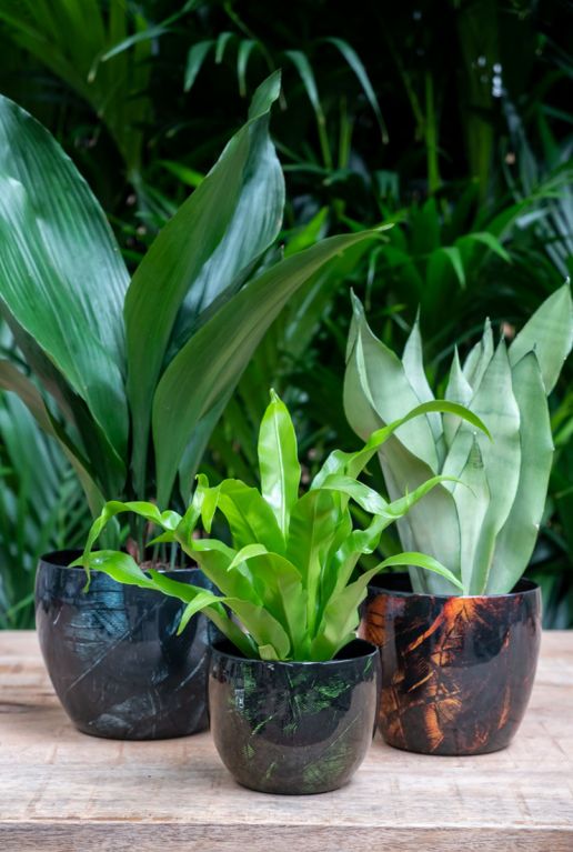Metalen-bloempotten-vive-groen-oranje-blauw 2