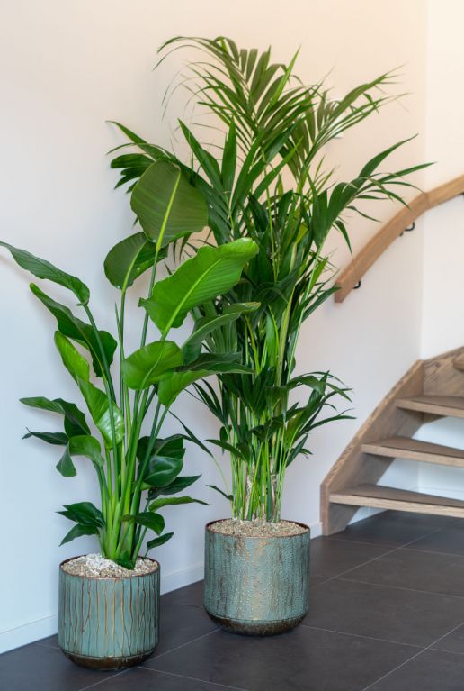 Metalen plantenpotten 1