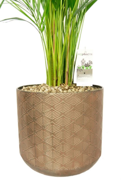 Metalen pot kamerplant
