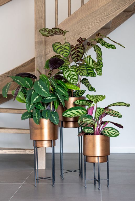 Minou bloempot standaard 5