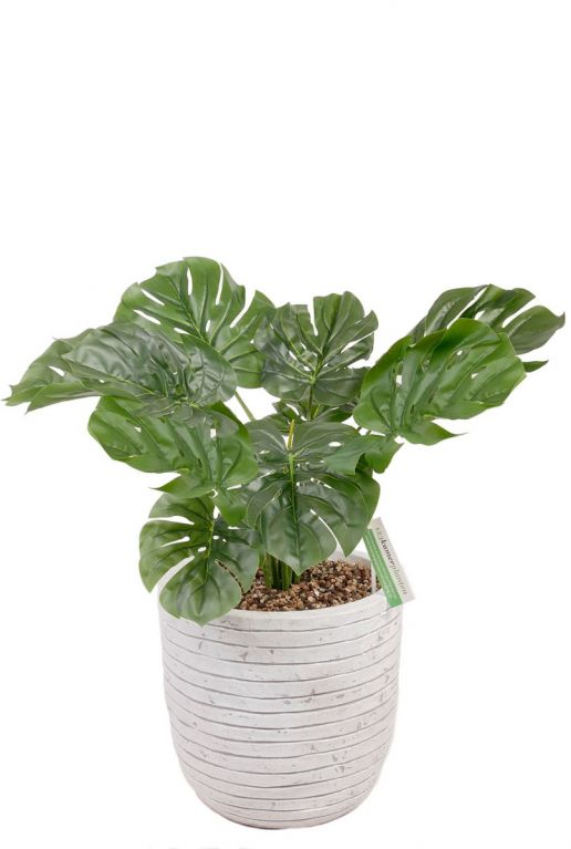 Monstera kunstplant in witte pot 1