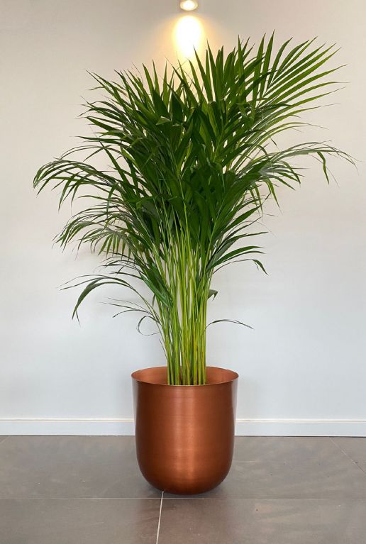 Mooie bloempot koper 2
