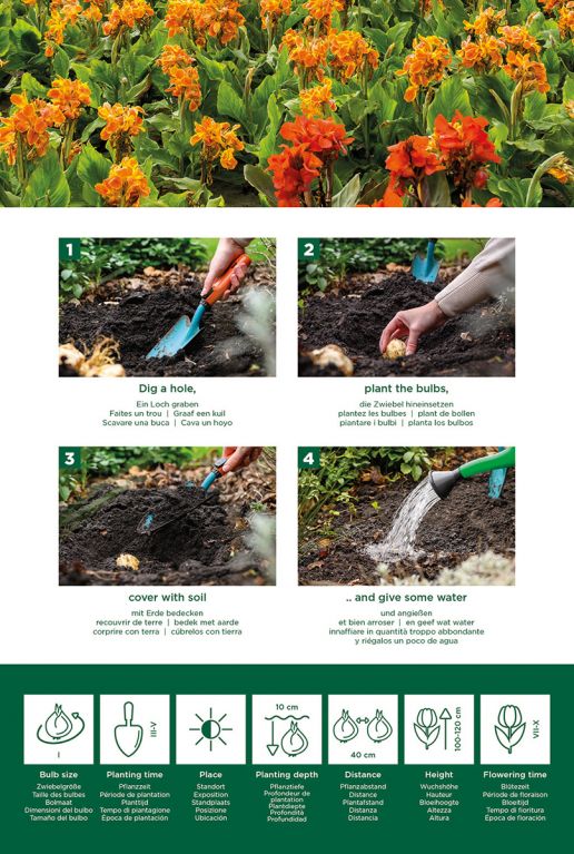 Canna Mix
