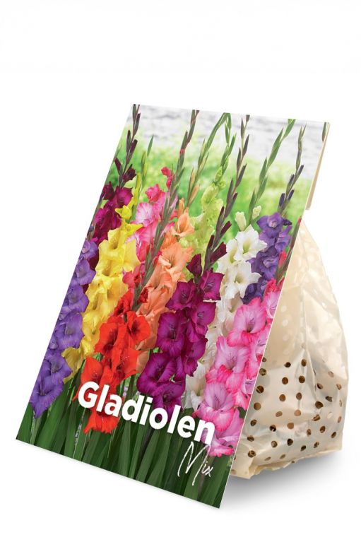 Gladiolen Mix 