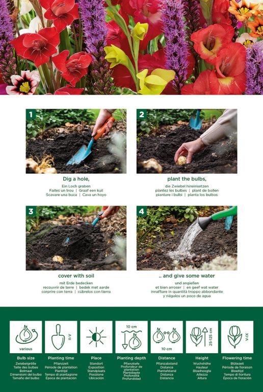 Bees & Butterflies Bulbs Mix