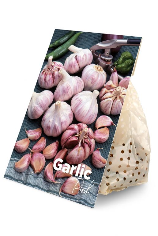 Garlic pink