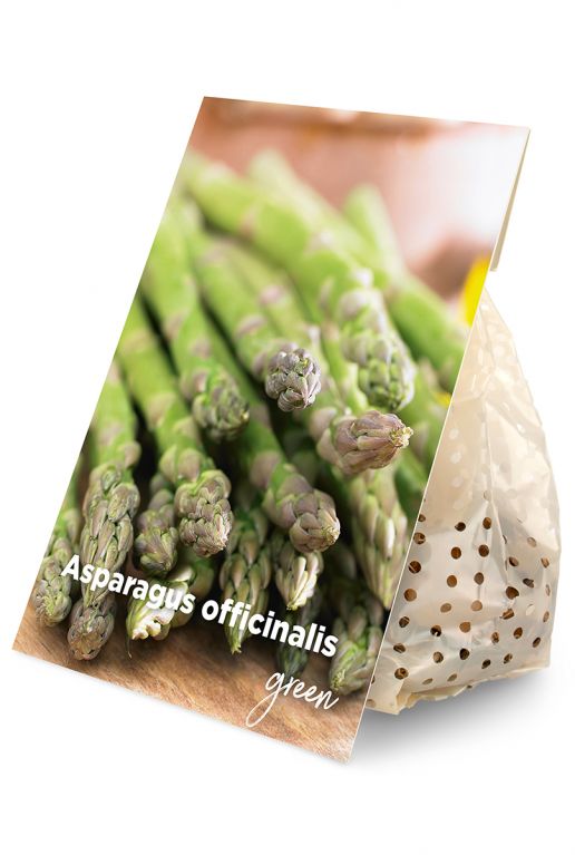Asparagus officinalis green 