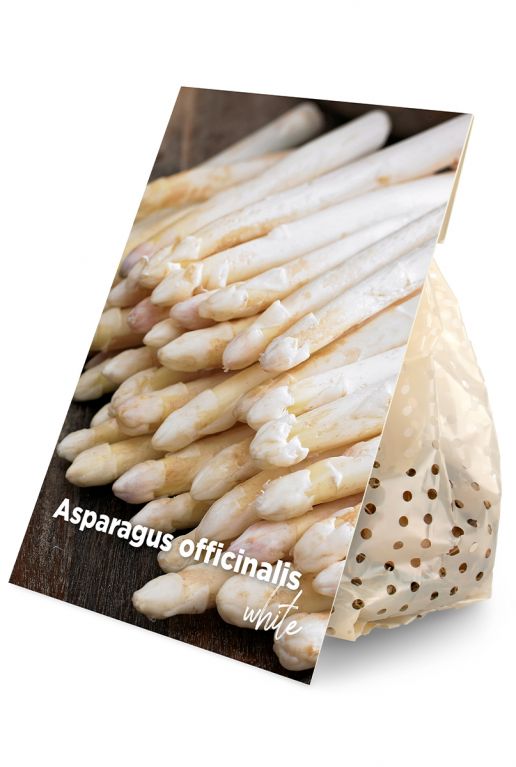 Asparagus officinalis white 
