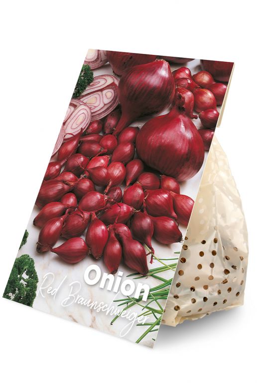 Onion Red Braunschweiger