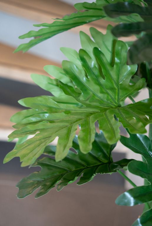 Philodendron kunstplanten