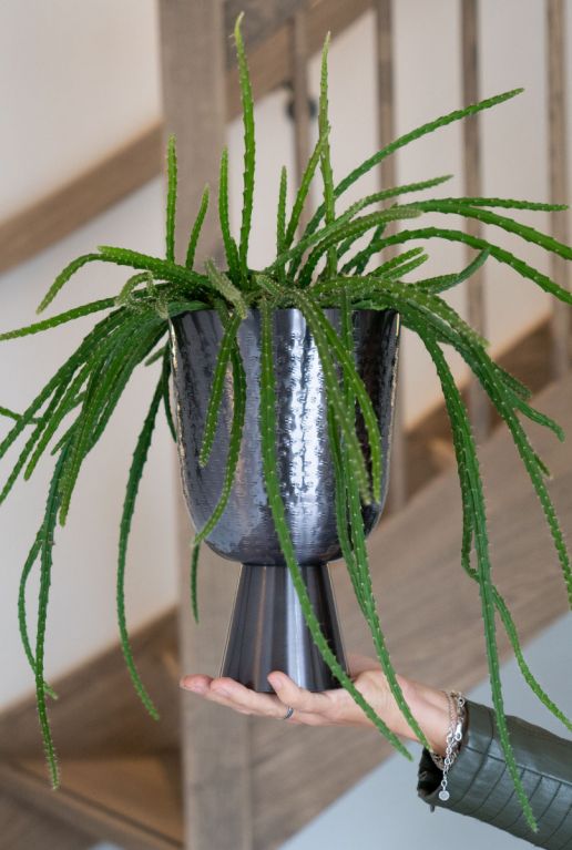 Plant in zilver pot