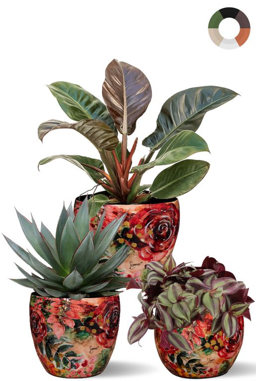 Planten met rode bladeren