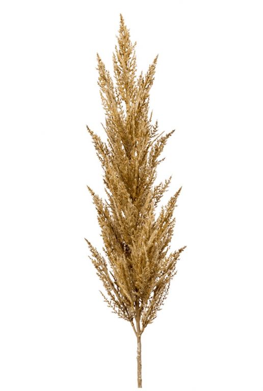 Pluim gras beige kunst tak