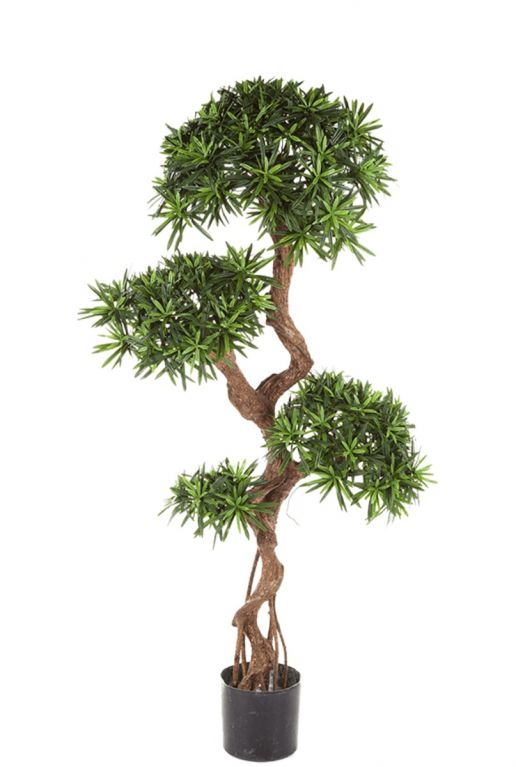 Podocarpus kunstboom plant