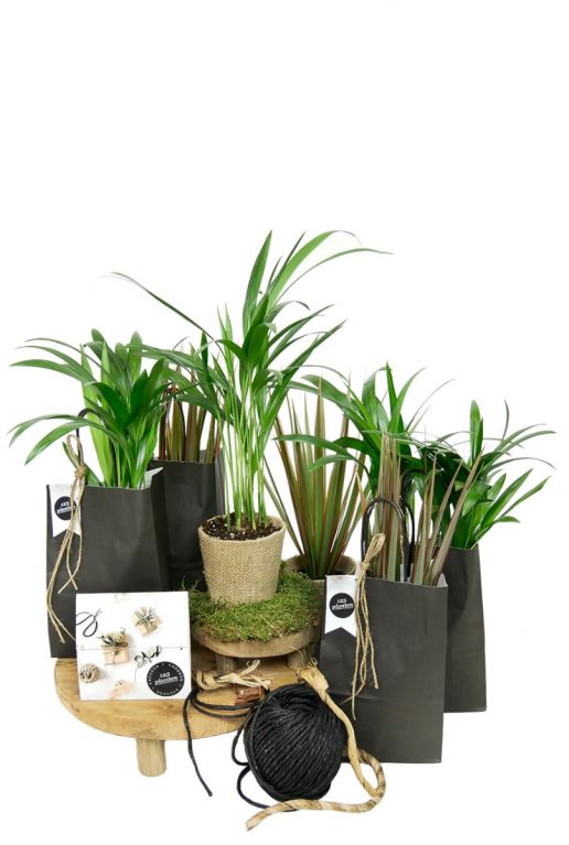 Relatiegeschenken planten
