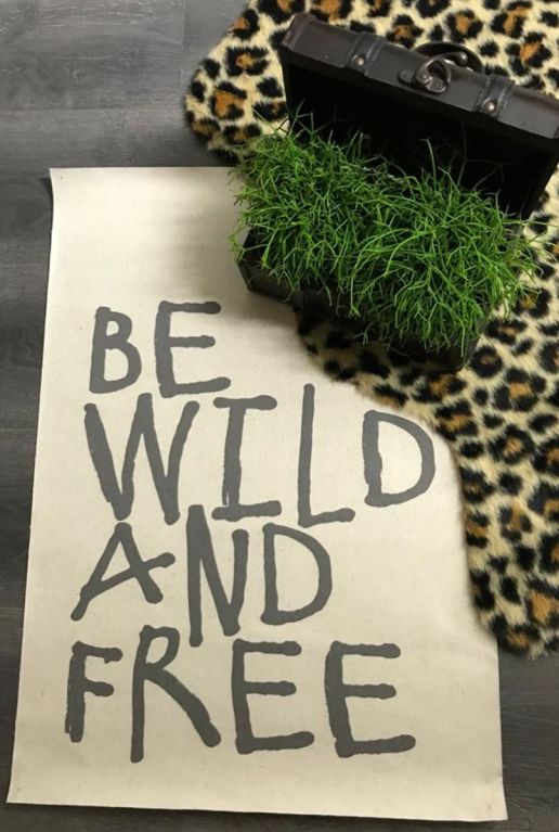 Rhipsalis interieur