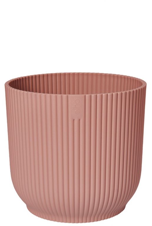Roze pot planten
