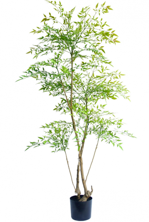 Ruscus kunstplant 150 cm