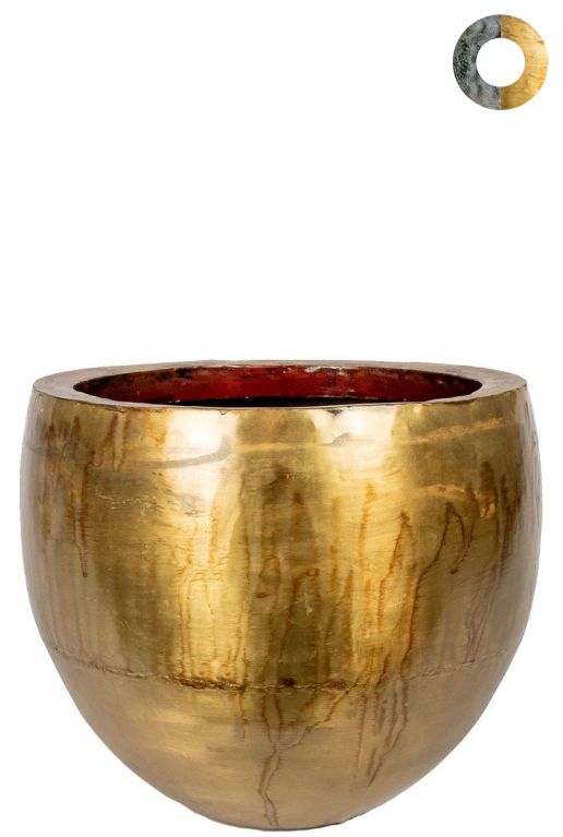 Ter-steege-fabien-goud-30cm 1