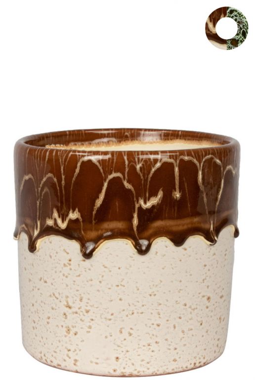 Ter-steege-gaby-bruin-14cm 1