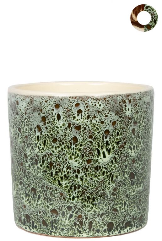 Ter-steege-gaby-groen-14cm